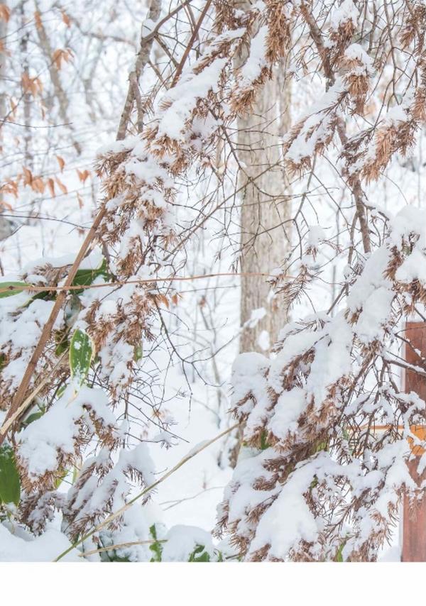 Whoseman-11-國民男友-阿部